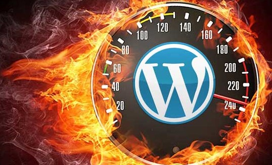 لگوی وردپرس در سرعت سنج و آتش