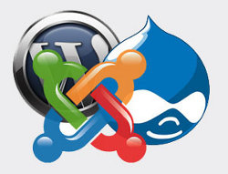 ترندهای طراحی وبسایت در سال 2024: از طراحی مینیمالیستی تا هوش مصنوعی 31 hacked 10